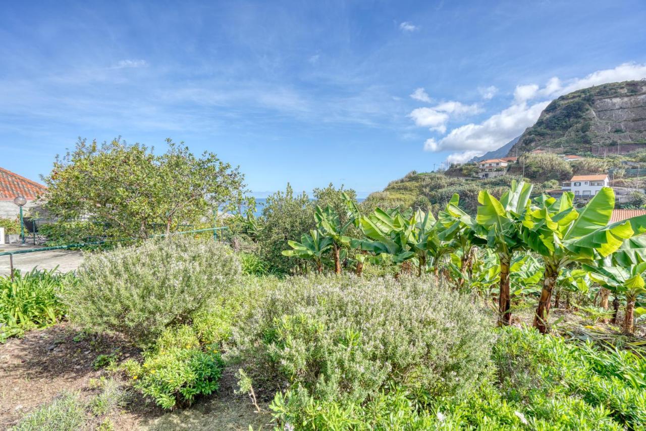 Quinta Da Vila Porto Da Cruz Ngoại thất bức ảnh