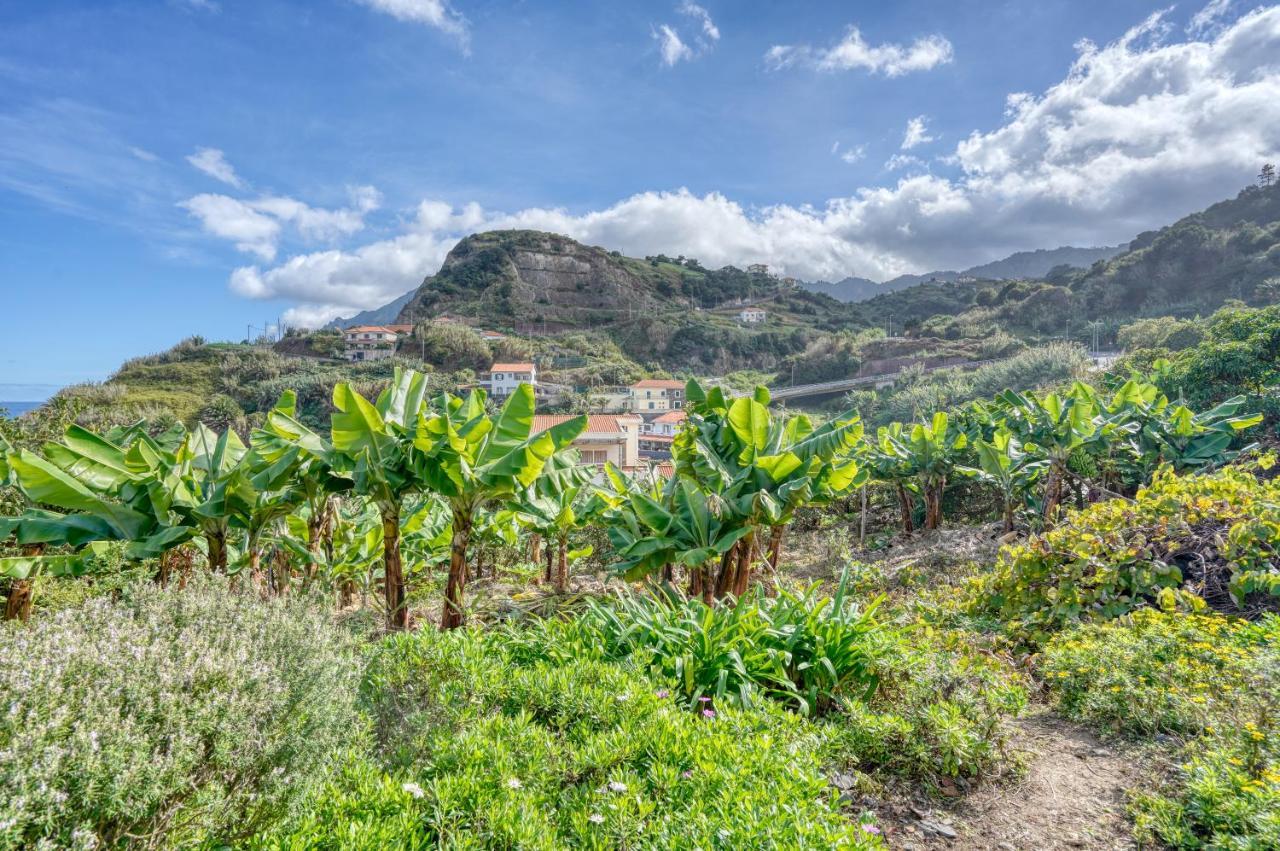 Quinta Da Vila Porto Da Cruz Ngoại thất bức ảnh