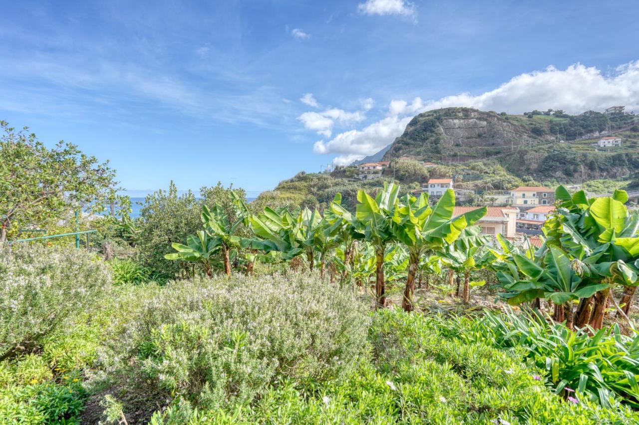 Quinta Da Vila Porto Da Cruz Ngoại thất bức ảnh